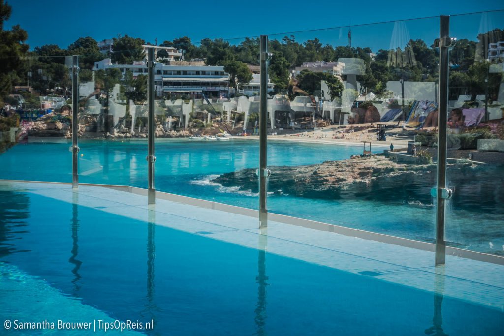 Reis plannen zonder stress: type vakantie kiezen wat bij jou past