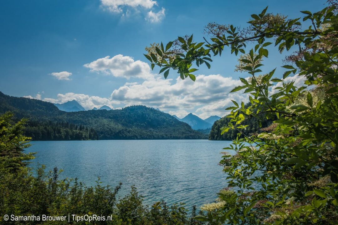Alpsee in Hohenschwangau, Allgäu