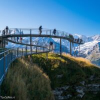 De 9 leukste activiteiten in Grindelwald Grindelwald: First Cliff Walk