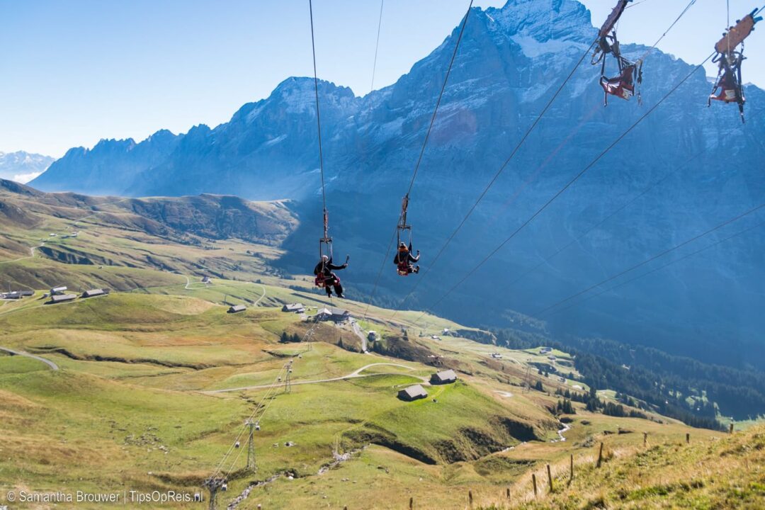 Grindelwald - First Flyer