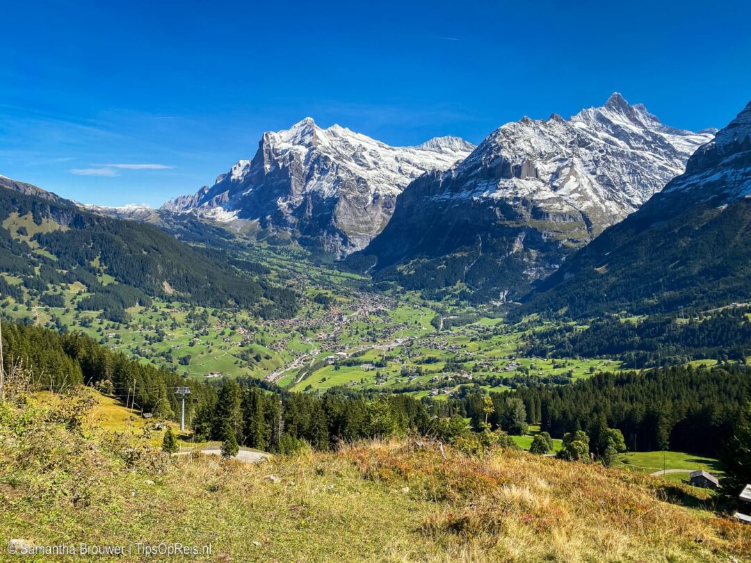 Uitzicht over Grindelwald, Jungfrauregion