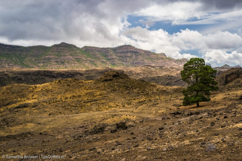 Gran Canaria - de natuur