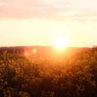 5 Dingen die je écht niet mag vergeten om in te pakken op zonvakantie Dingen doen als de zon schijnt | zonvakantie