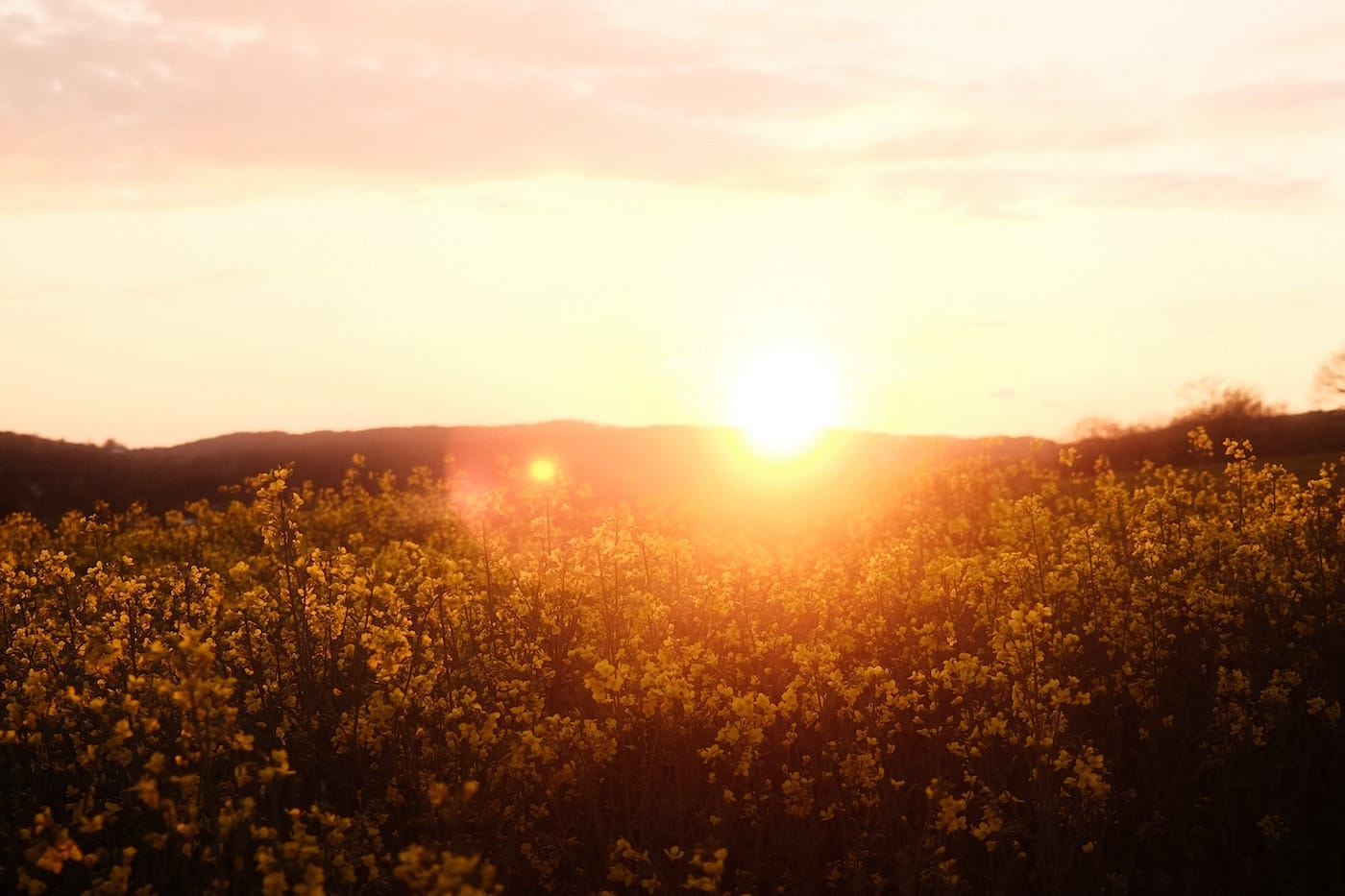Dingen doen als de zon schijnt