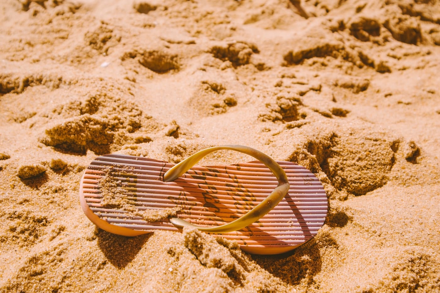 Extreme hitte in Nederland: wat te doen tijdens een hete zomer?