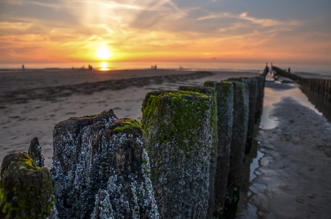 De mooiste stranden van Nederland: Domburg
