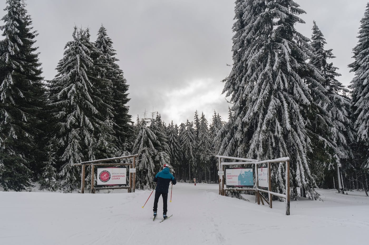 Wintersport in Duitsland: Langlaufen