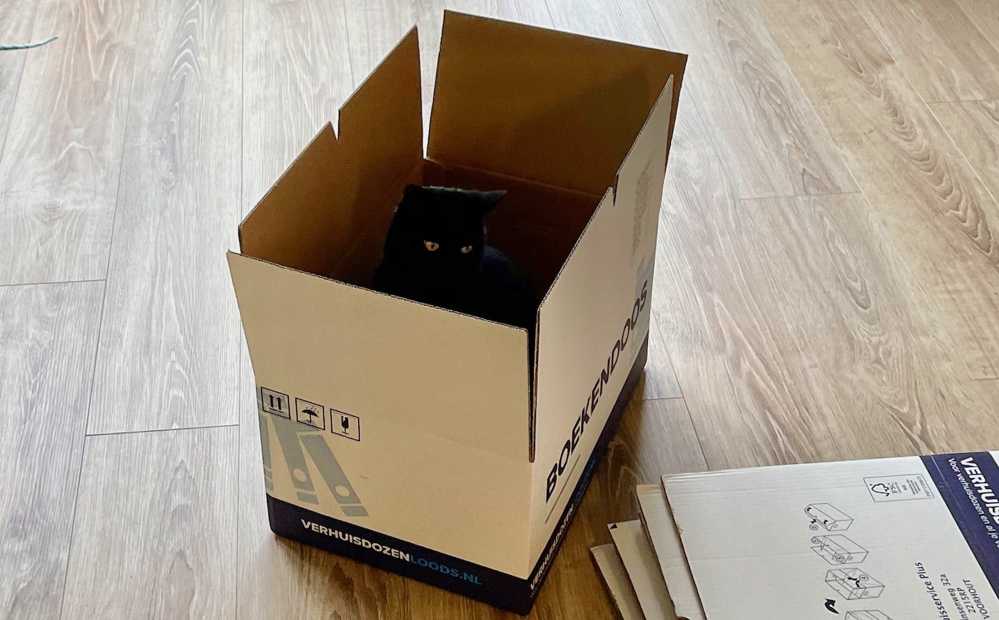 Obi is klaar voor de verhuizing