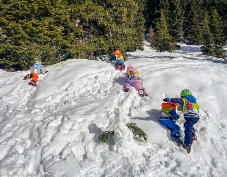 Kinderen spelen in de sneeuw