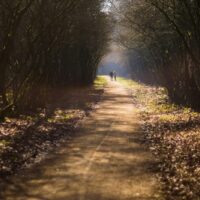 Wandelvakantie Nederland | Photo by Joran Quinten on Unsplash