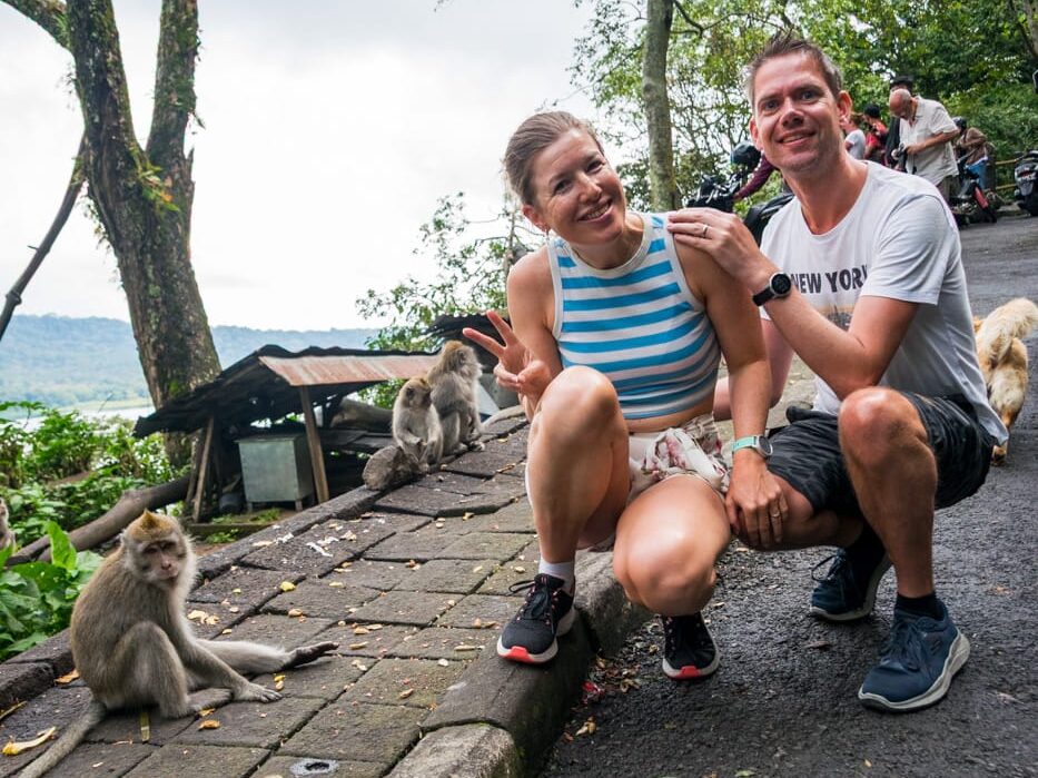Aapjes op Bali