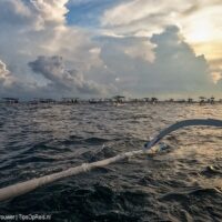 De grote hoeveelheid bootjes tijdens de dolfijnentour in Lovina