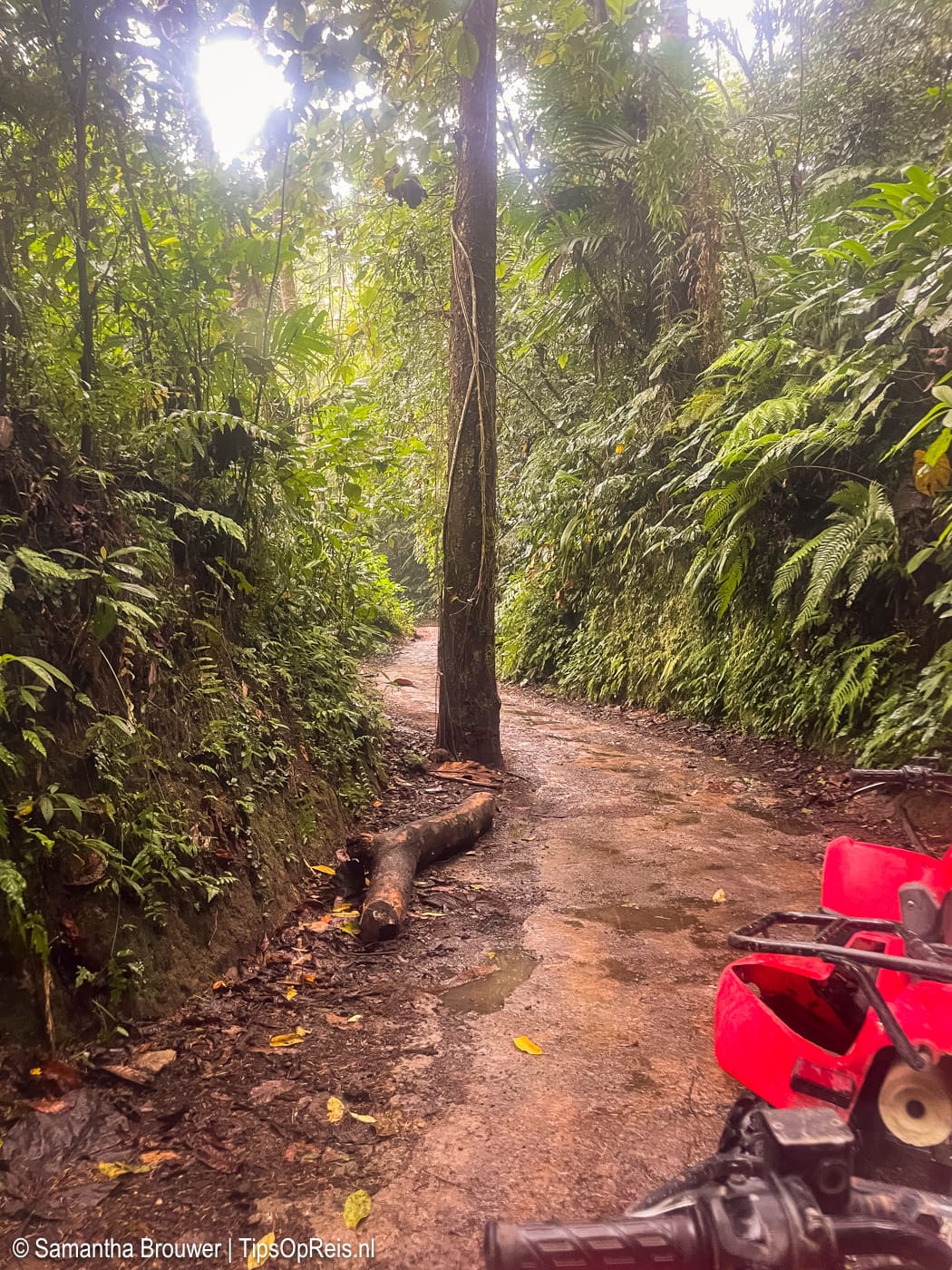 Quadrijden op Bali