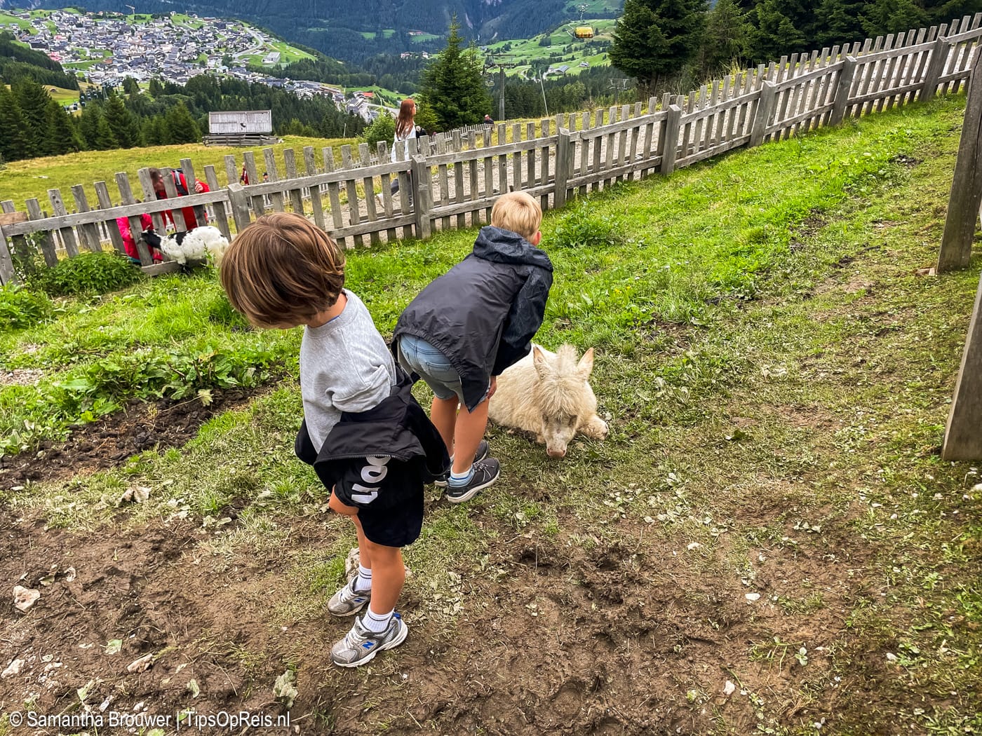 Kinderen op de kinderboerderij in Fiss