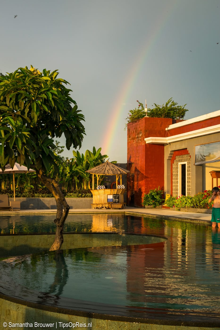 Lovina Beach Club & Resort: regenboog