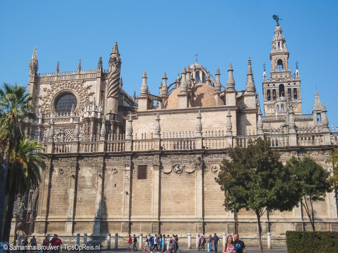 Kathedraal van Sevilla met de Giralda, must-see tijdens een dagtrip